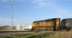 UP 8981